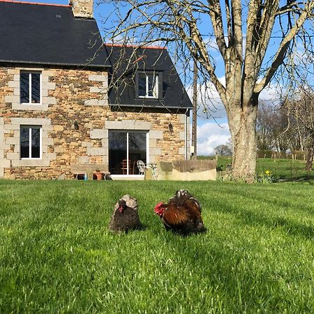 Maison Chic Proche Du Mont Saint Michel Marcilly  Екстер'єр фото